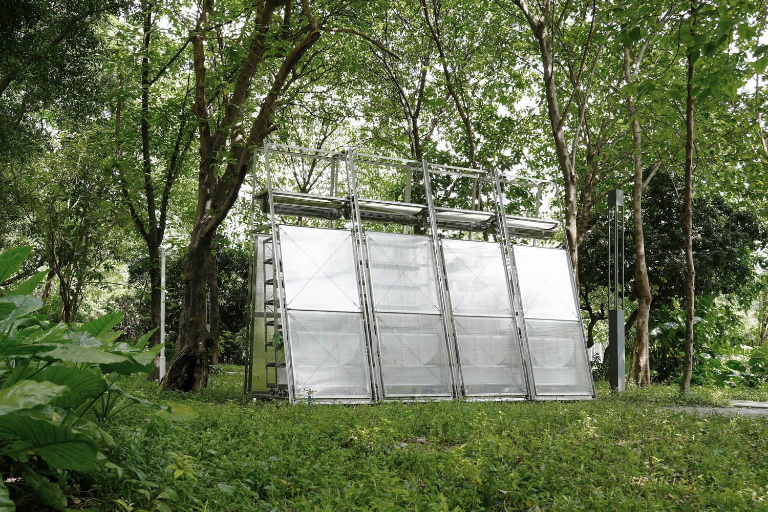 Rear view of the hinged panel structure in a grassy clearing with tropical vegetation