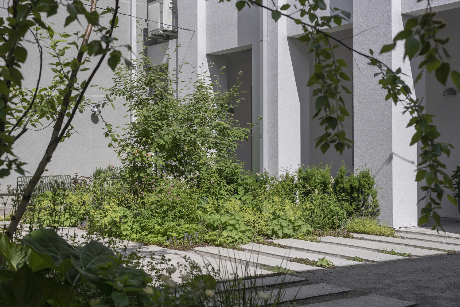 Planted bed with young trees and groundcover between concrete paving slabs and white facade columns