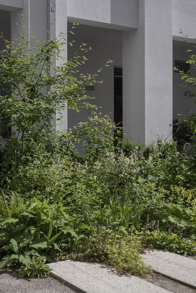 Planted courtyard bed with layered vegetation framing a recessed entry between textured concrete columns
