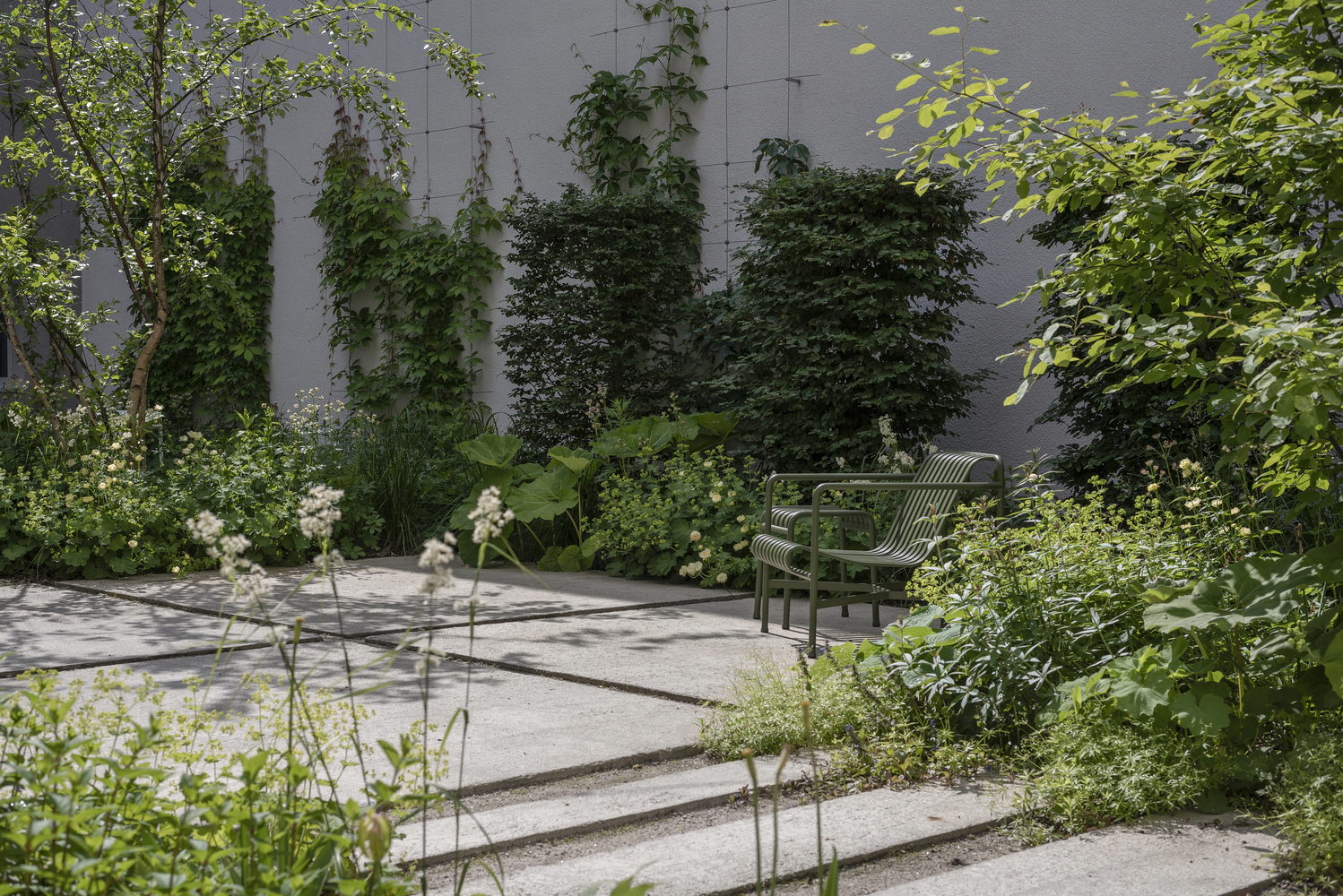Courtyard steps descending through dense planting beds with climbing vines on the dark wall beyond