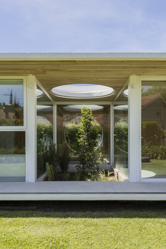 Glazed entrance pavilion with circular skylight framing a planted courtyard tree under timber ceiling