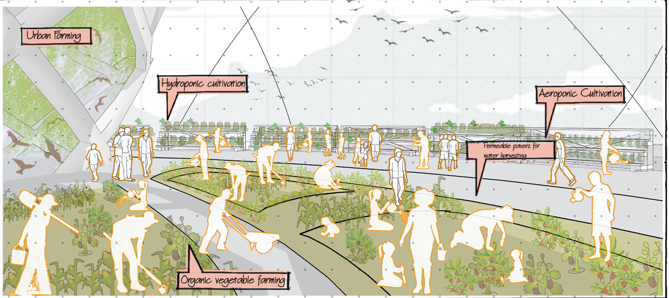 Hydroponic and aeroponic cultivation in a community-driven green space, fostering food sustainability.