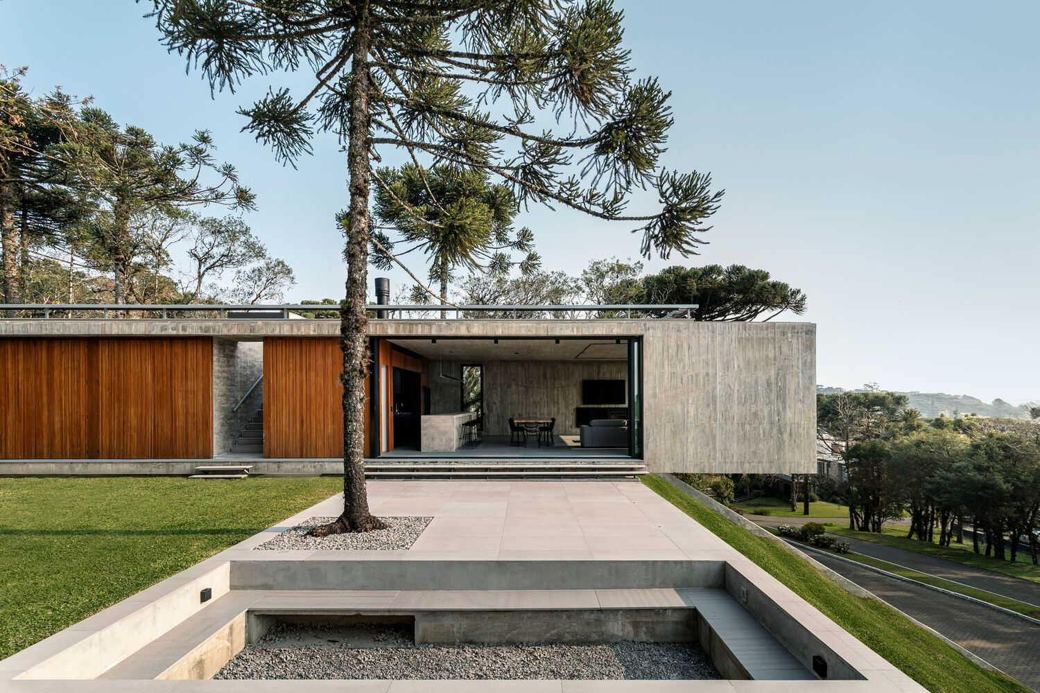 Terrace view with concrete reflecting pool framed by lawn and pine trees
