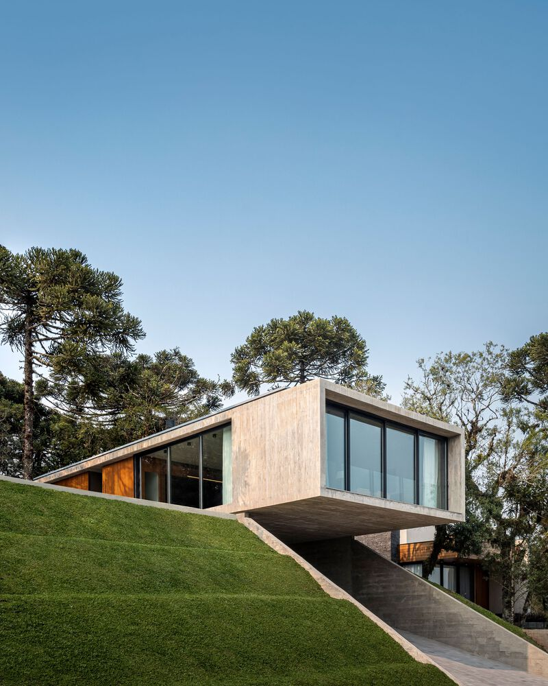 Cantilevered timber-clad volume extending from grass-covered hillside among native trees