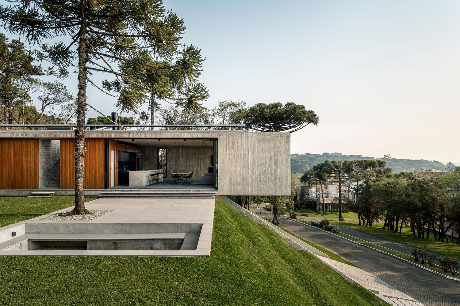 Concrete pavilion with timber cladding and glass walls beside a rectangular reflecting pool under araucaria pines