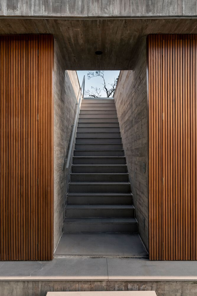 Concrete staircase flanked by vertical timber slat panels leading up to a skylight framing a tree