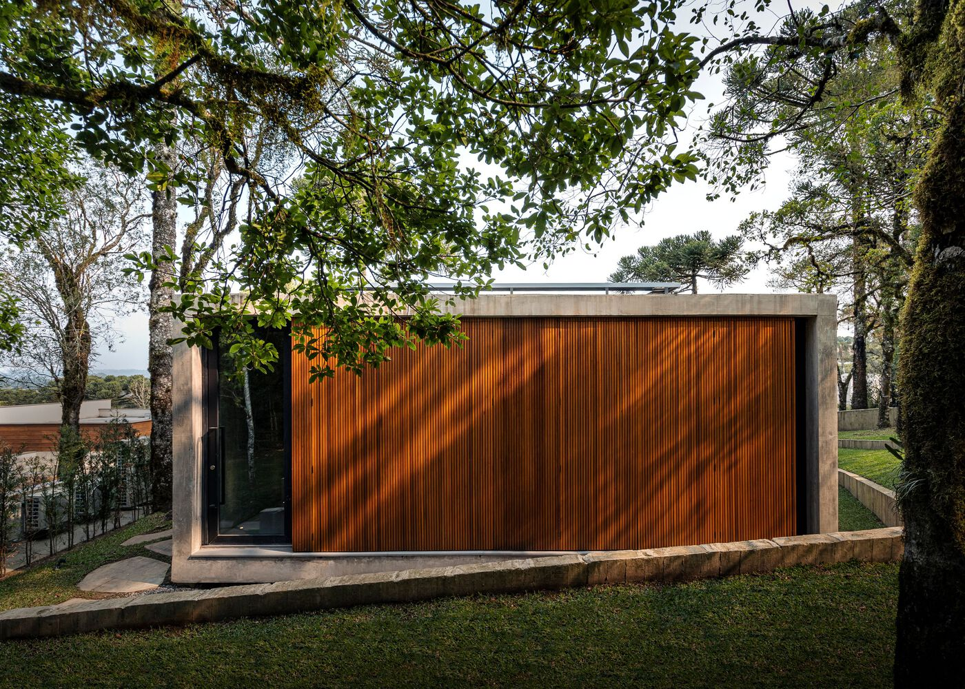 Timber-clad volume on concrete plinth beneath mature tree canopy