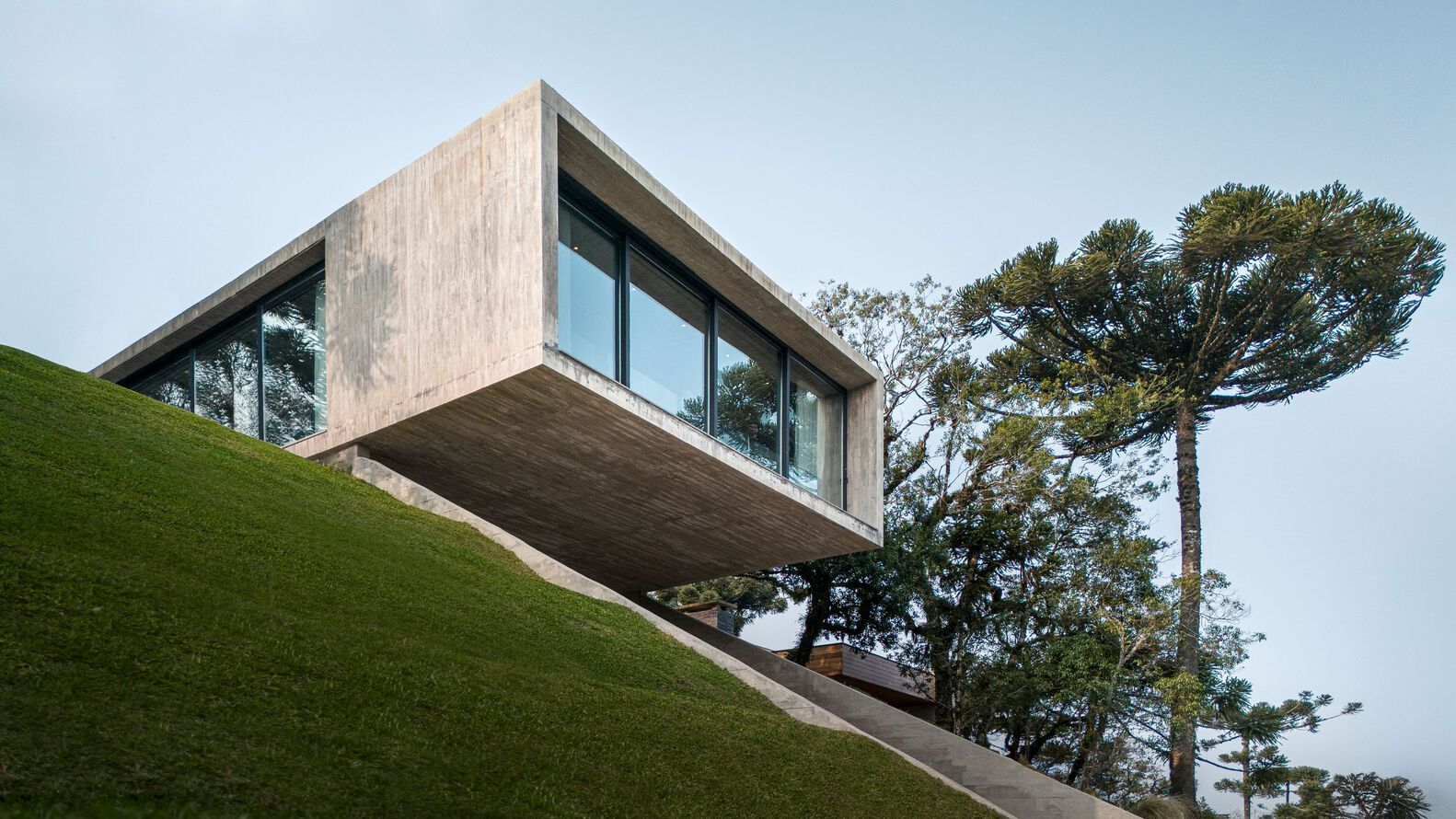 Cantilevered concrete volume perched on a grassy slope beside tall araucaria trees