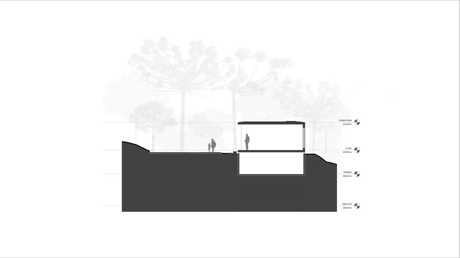 Section drawing revealing a partially subterranean structure with tree canopies above