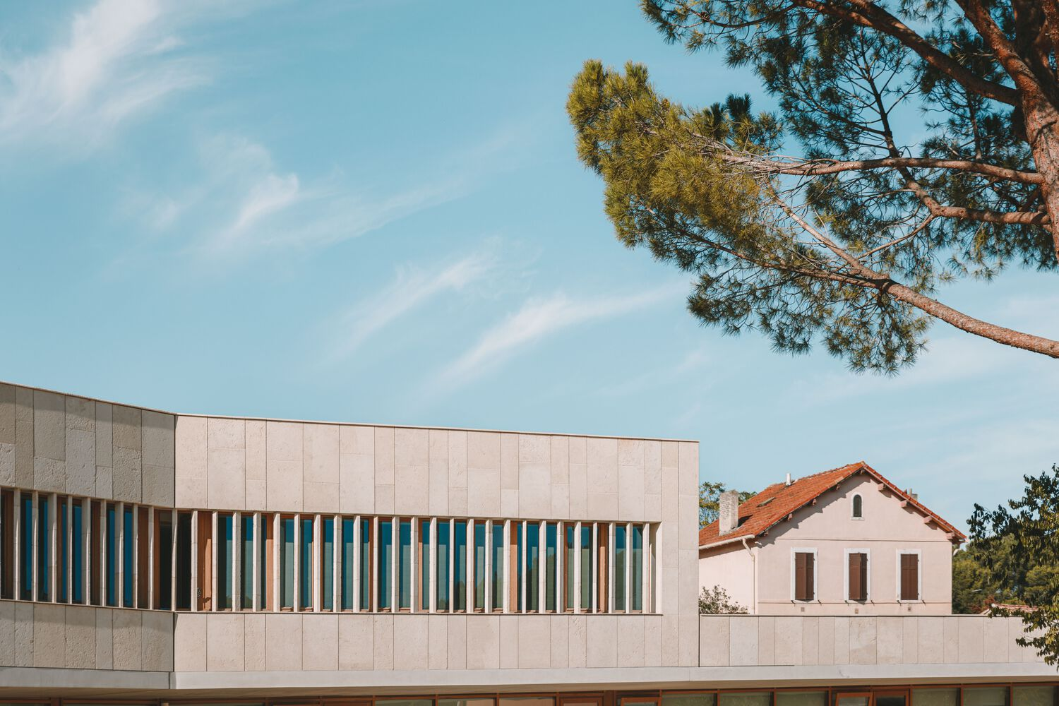 Pale panelled facade with vertical timber screen beneath a leaning pine and clear blue sky