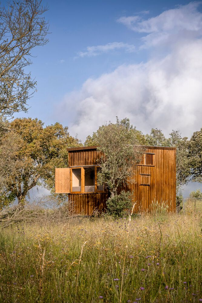 Exterior view of the slatted timber facade with open shutters in dry grassland under cloudy skies