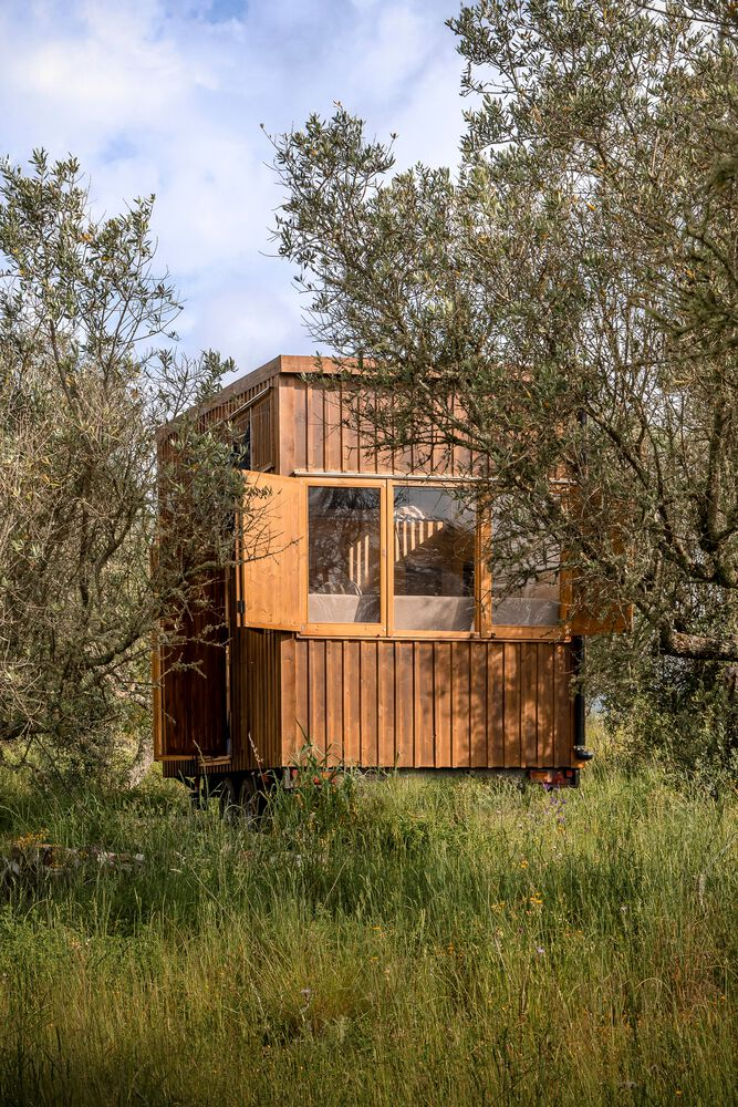 Front elevation showing glazed middle level and vertical wood cladding among olive trees