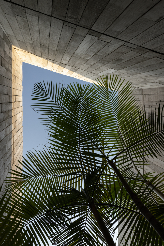 Upward view through a rectangular lightwell with concrete block walls framing palm fronds and sky