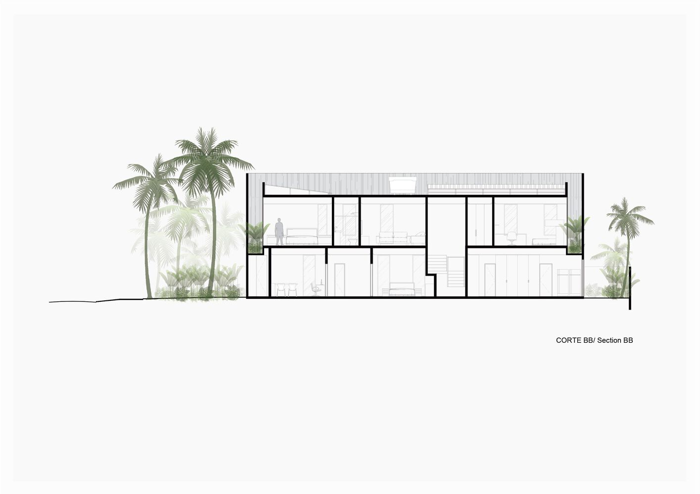 Building section drawing revealing two-story interior spaces with flat roof and flanking palm trees