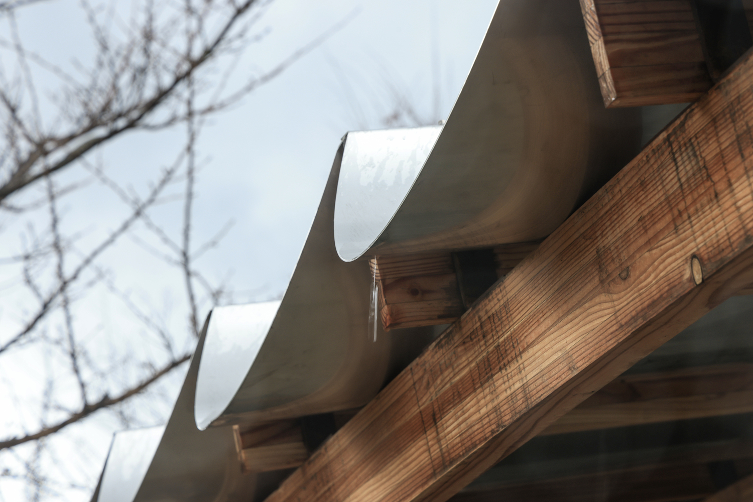 Close-up of curved roof tiles resting on timber beams against bare winter branches