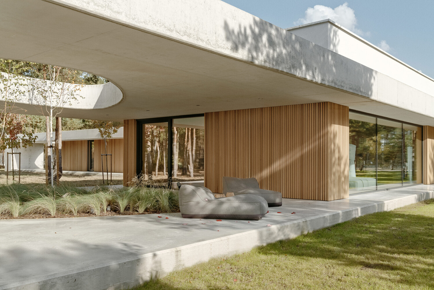 Covered terrace with vertical timber cladding and concrete platform beneath a hovering white roof on a clear day