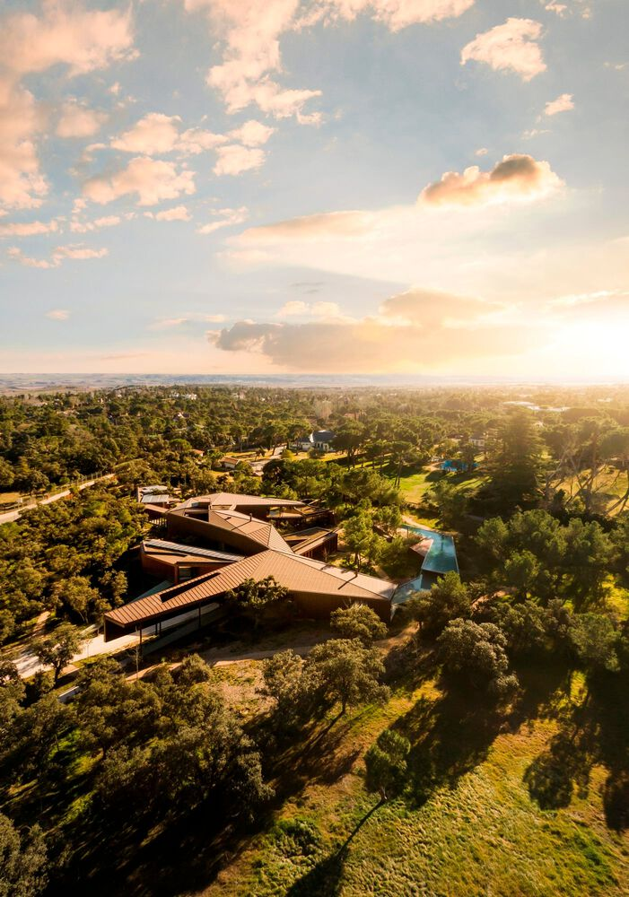Aerial view of the clustered roof volumes nestled in a dense forest at sunset