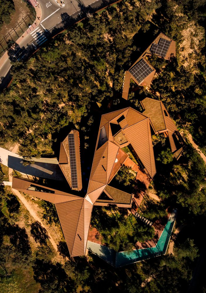 Aerial view of the pinwheel roof composition with timber cladding and solar panels among dense tree canopy
