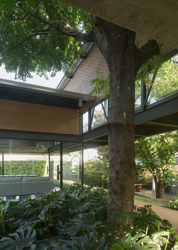 Covered exterior terrace framed by steel beams and a preserved tree trunk surrounded by lush plantings