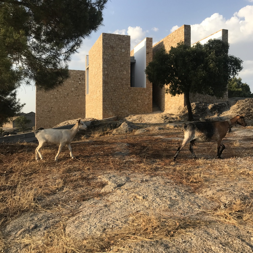 Stone facade volumes seen beyond three goats grazing on dry ground under afternoon clouds