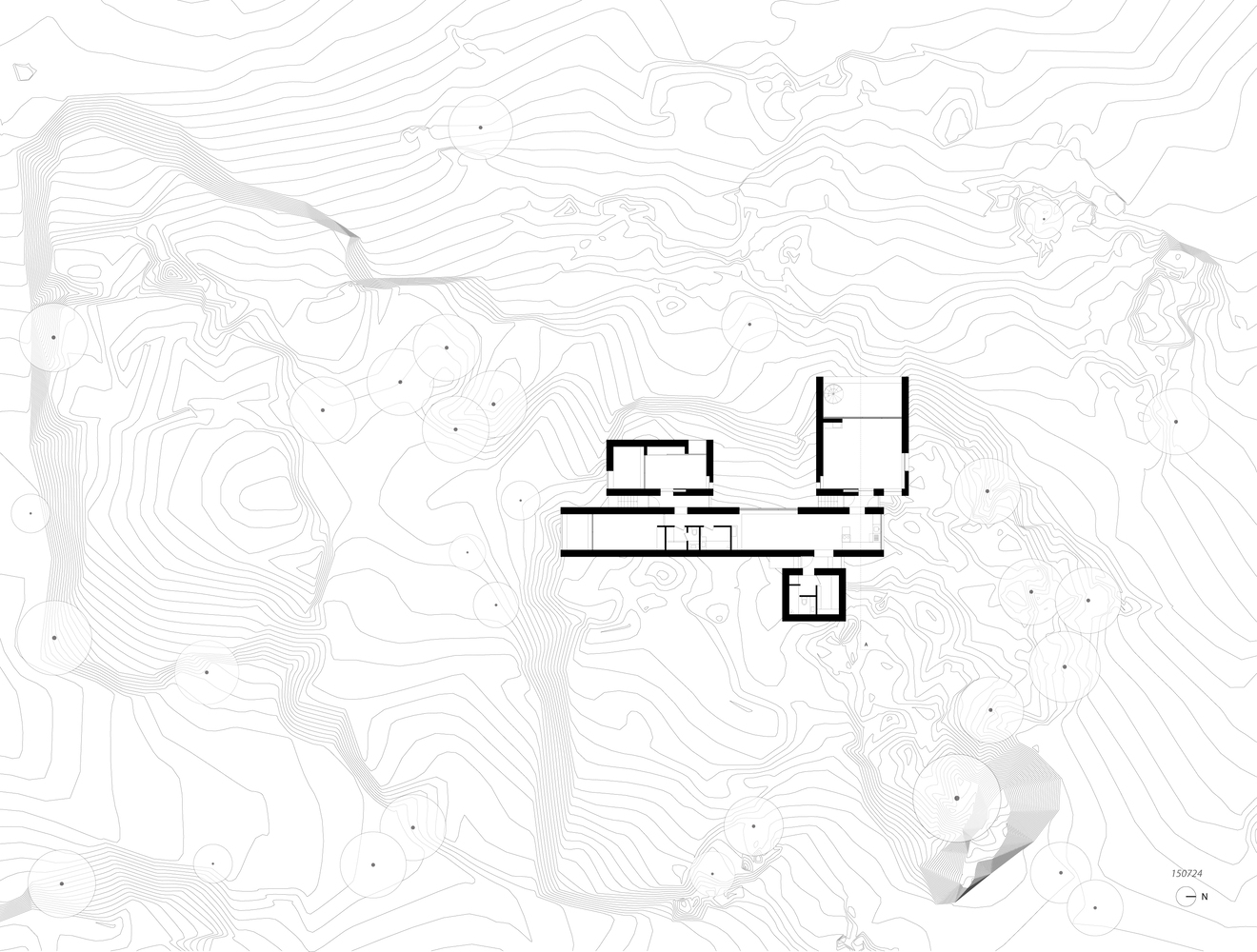 Site plan drawing showing clustered volumes on contoured topography with trees indicated