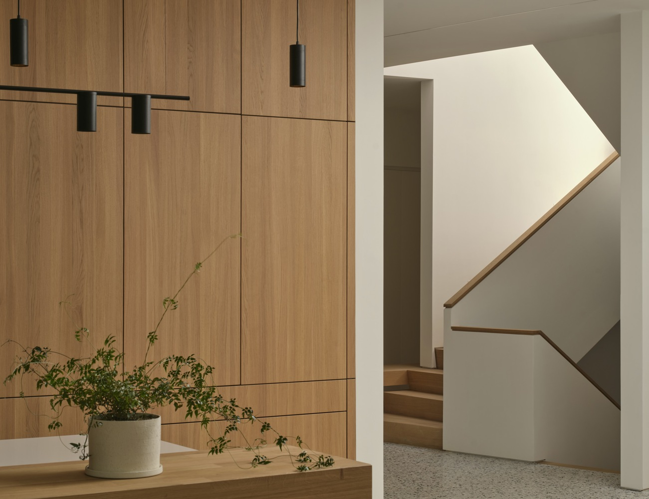 View of the angled stairwell through a white portal with timber wall panels and potted plant