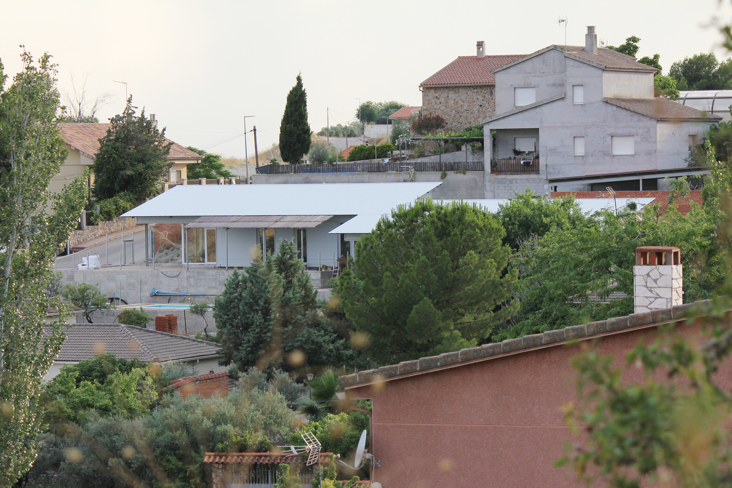 Sloped white metal roof rising above the hillside neighborhood trees at dusk