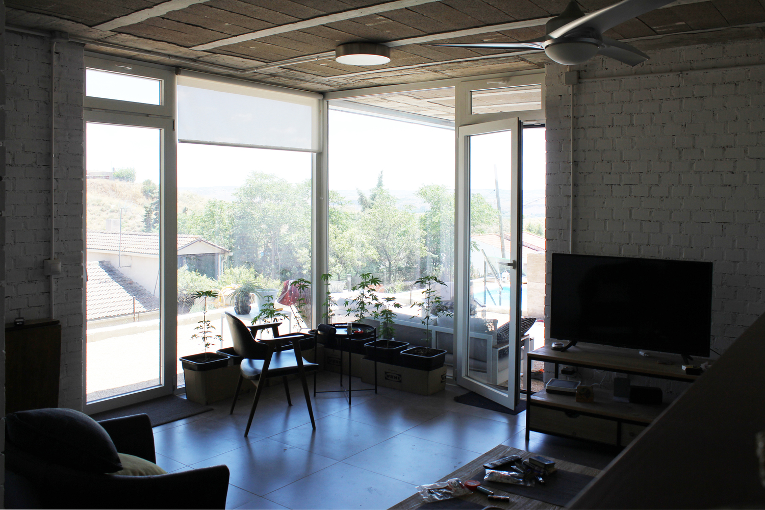 Living room with exposed concrete walls, full-height glazing and potted plants on the sill