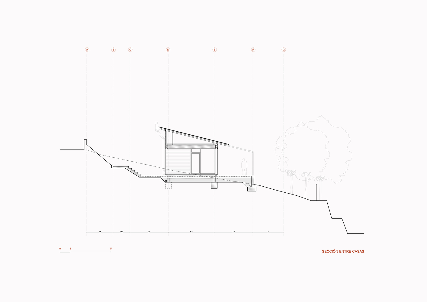 Section drawing showing a single-story pavilion with angled roof embedded in the sloping site