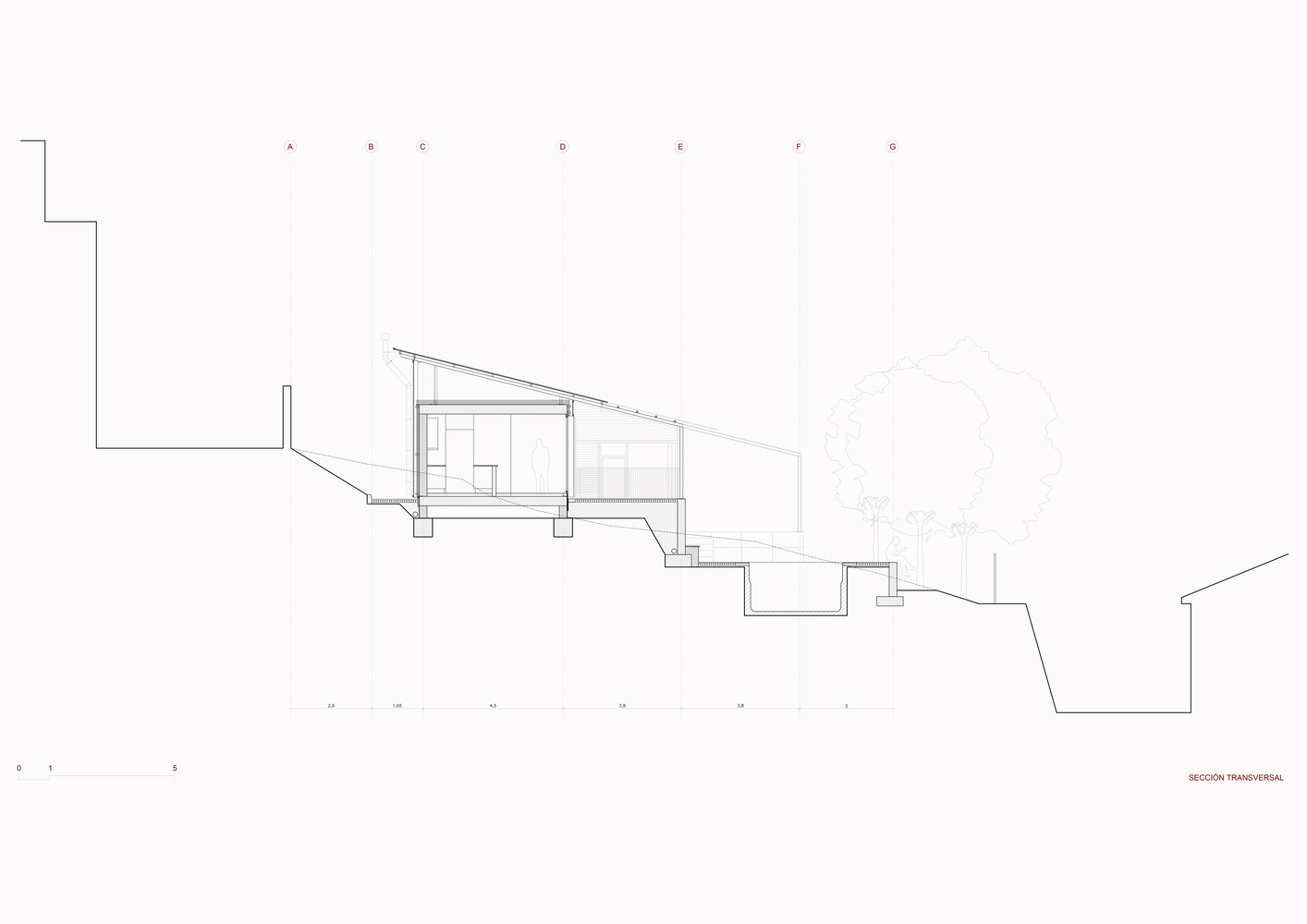 Transverse section drawing cutting through the sloped roof volume and terraced lower levels