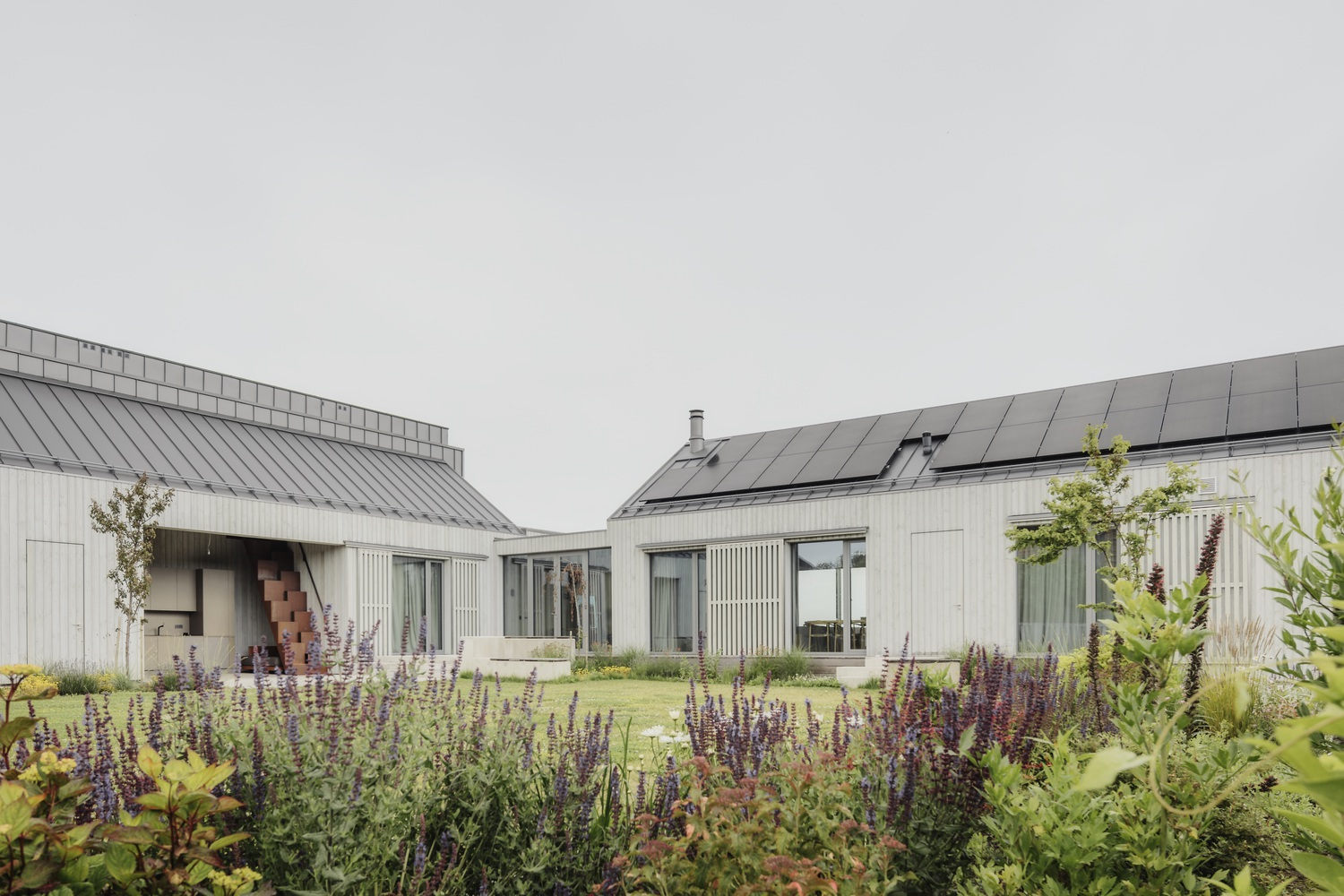 Courtyard view framed by flowering perennials showing two linked volumes with solar-paneled roofs