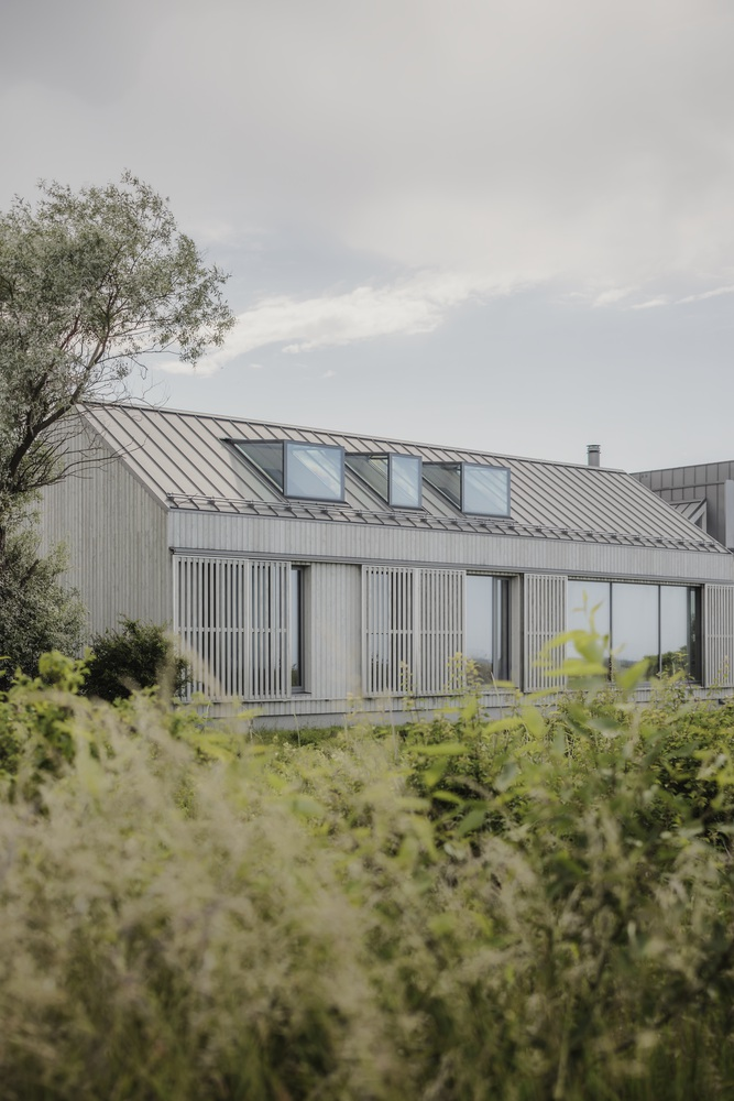 Vertical timber-clad facade with standing-seam metal roof and dormer windows set among tall grasses and a tree
