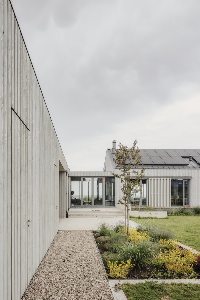 Courtyard between vertical timber-clad volumes with young tree and planted beds under overcast sky
