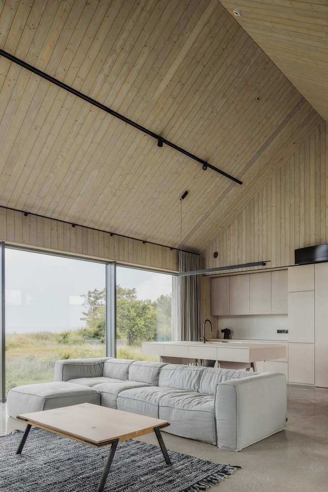 Open living space with vertical timber-clad ceiling and floor-to-ceiling glazing overlooking grassland