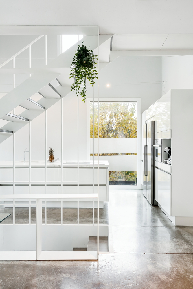 Double-height interior with white steel staircase and hanging planter near the kitchen
