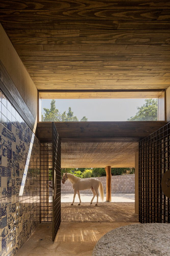 Covered passage with timber plank ceiling and lattice screens framing a white horse in sunlight