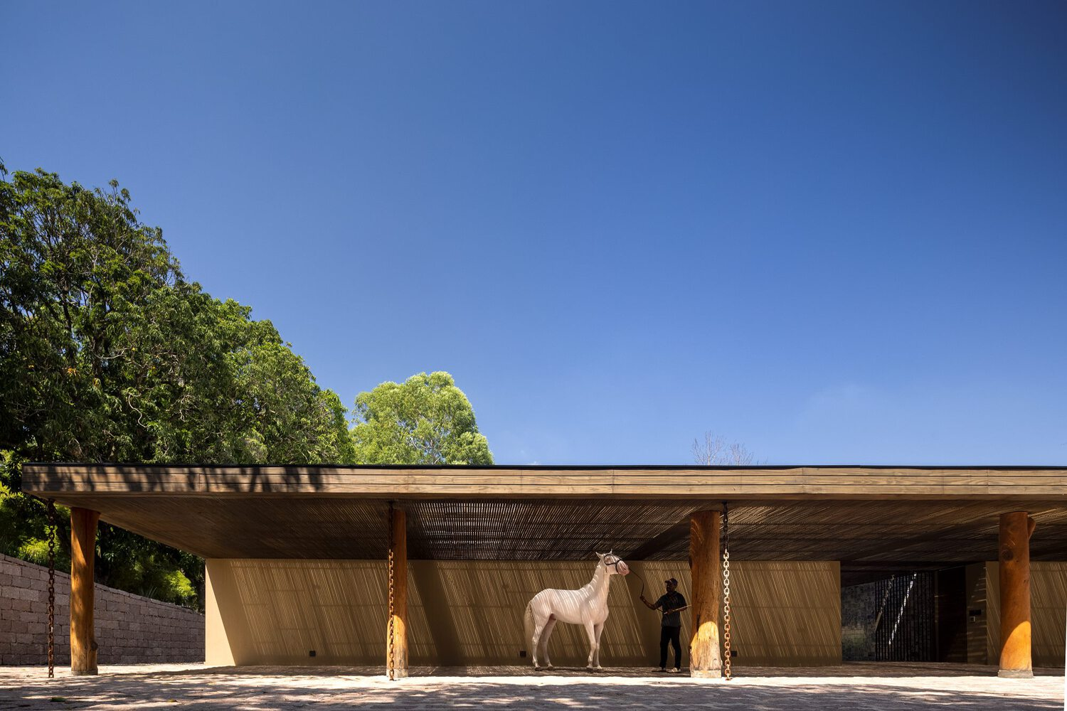 Exterior pavilion with low-pitched timber roof and round columns sheltering a horse under clear sky