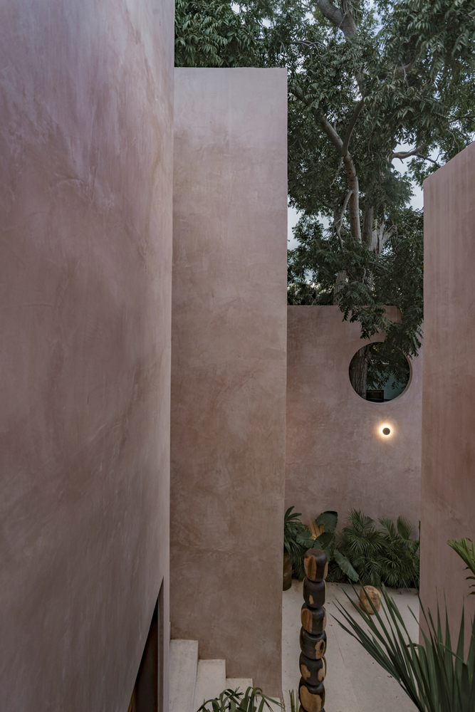 Tall plastered walls framing a staircase with circular wall openings and a mature tree overhead