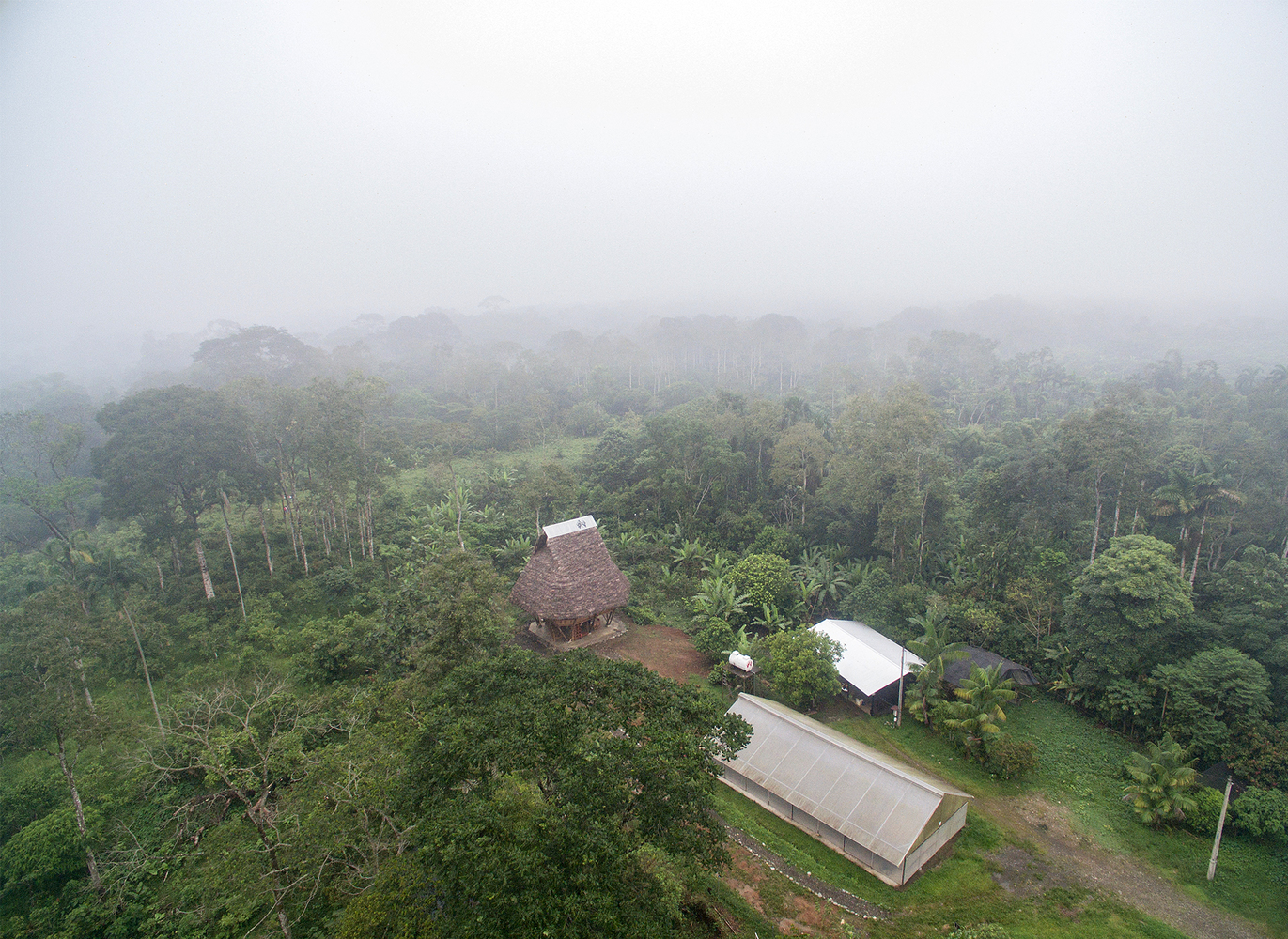 Aerial view of the thatched structure and barrel-vaulted shed amid dense forest in morning mist