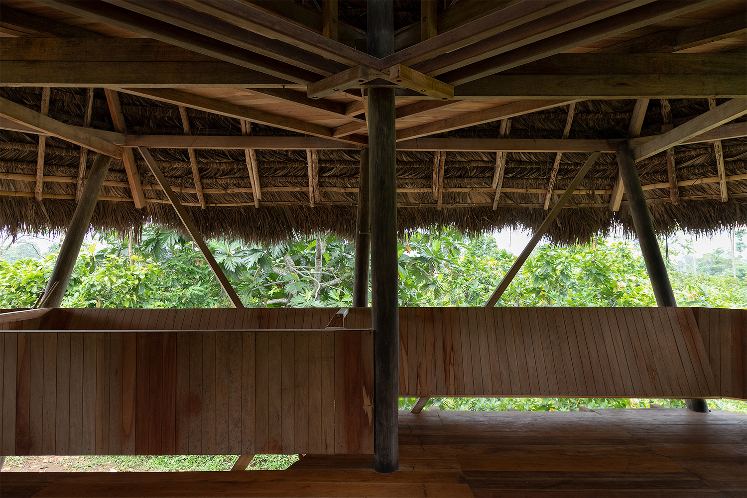 Open-sided timber structure with thatched roof and vertical wood cladding framing views of dense vegetation