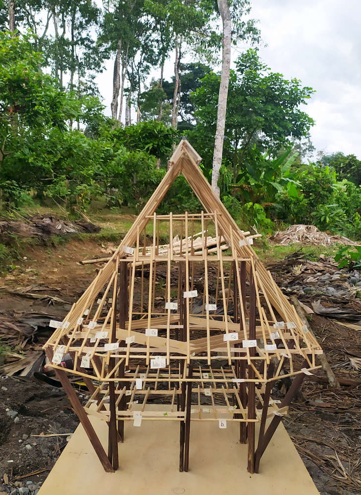 Timber frame model positioned outdoors in a hillside clearing with eucalyptus trees and tropical vegetation behind