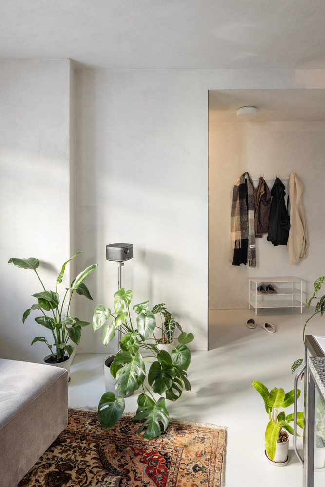 White living room with sunlight falling across potted plants and a view through to the coat storage