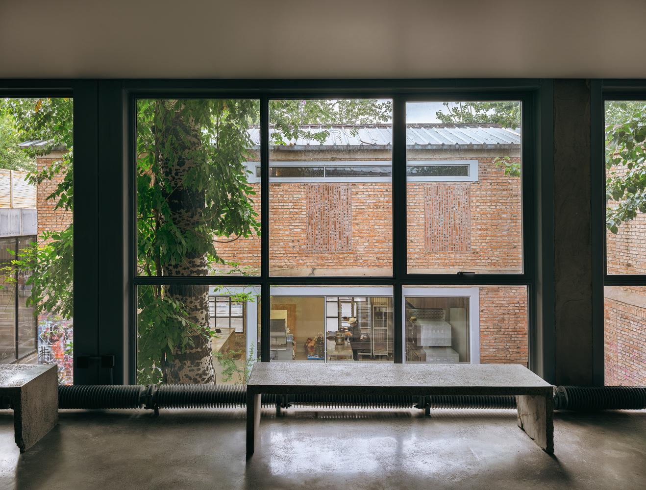 Full-height window wall overlooking a brick-walled courtyard and adjacent workspace with climbing vines