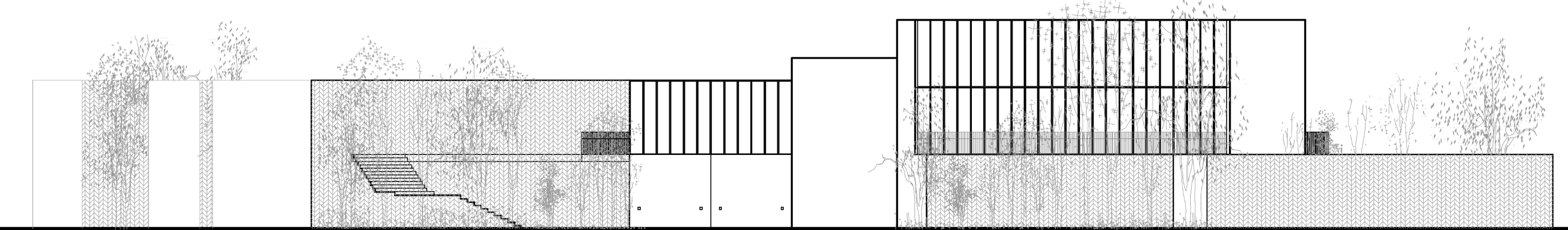 Elevation drawing showing the horizontal classroom volumes with timber screening and adjacent landscape