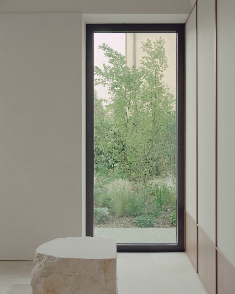 Tall black-framed window overlooking a planted courtyard with birch trees and ornamental grasses