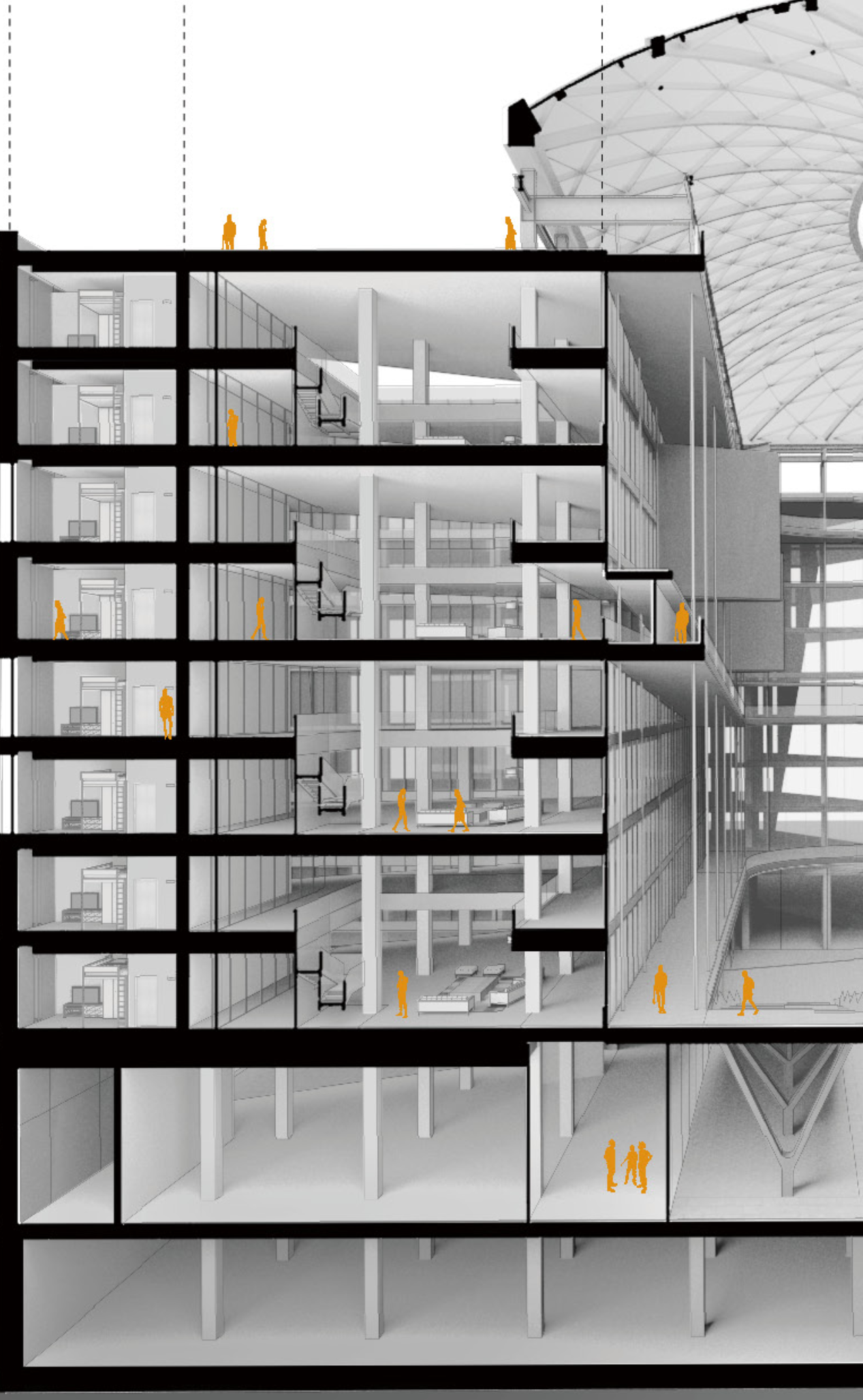 A detailed vertical layout showcasing public, semi-public, and private spaces interconnected through efficient circulation.
