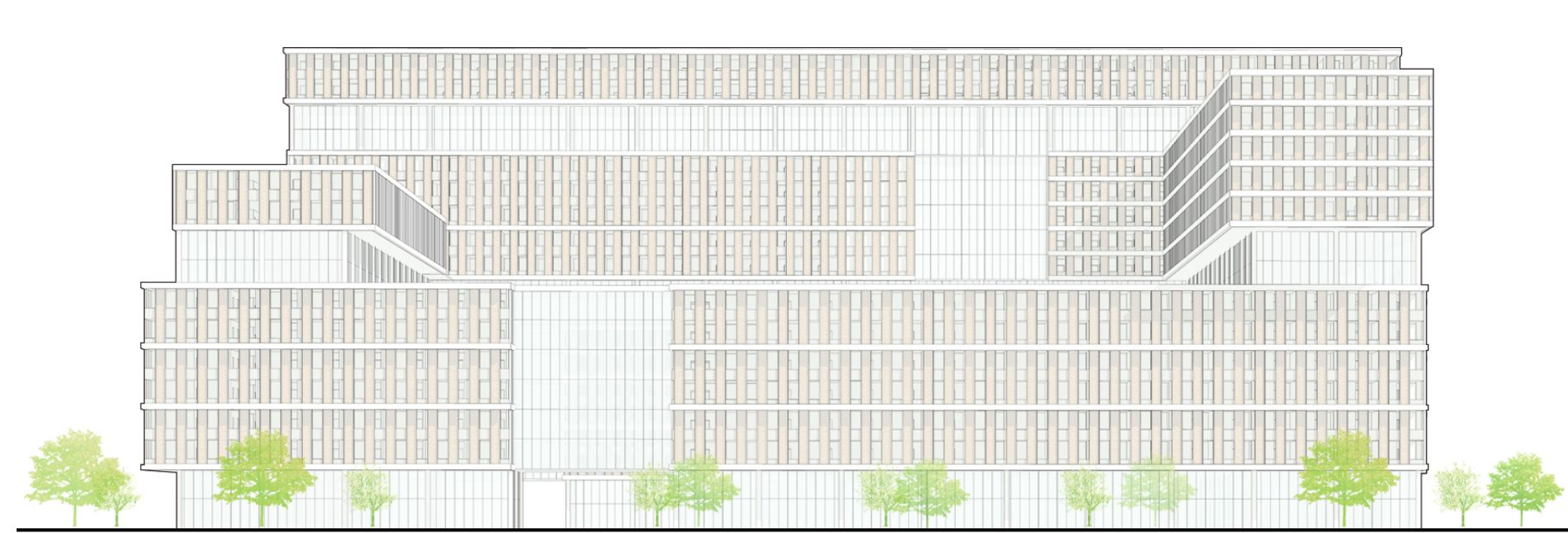 Sectional view detailing connections between residential and public spaces.