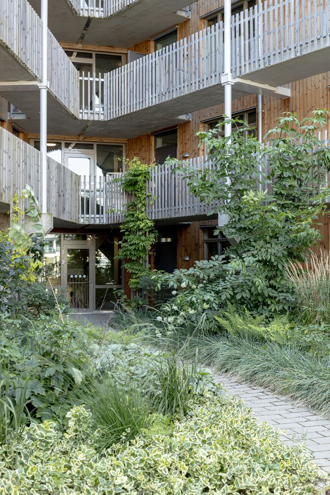 Courtyard view of staggered concrete balconies with timber and metal cladding surrounded by dense vegetation