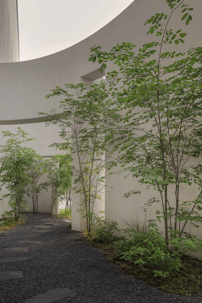 Courtyard garden with saplings and gravel paving beneath curving white walls