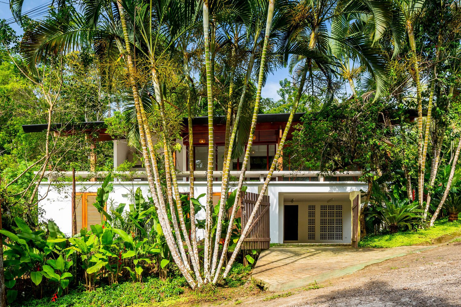Street view of white stucco facade with timber louvered screens framed by clustered palm trunks